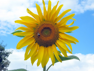 Similar image 309520