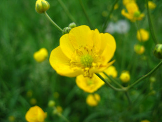 Similar image 309522