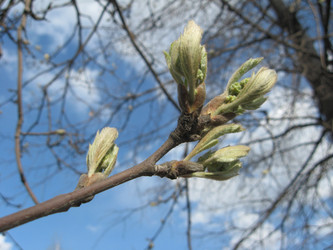 Similar image 309523