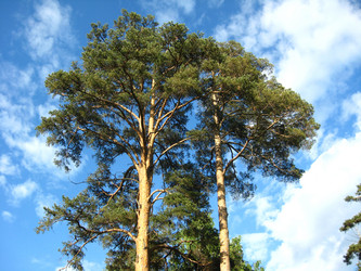 Similar image 309529