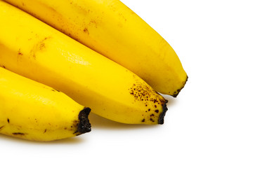 Similar image 309532