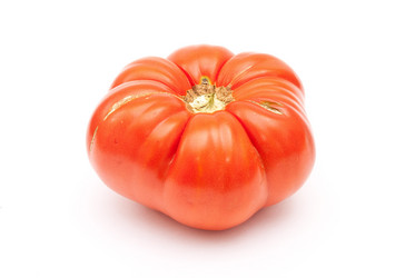 Similar image 309549