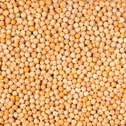 Similar image 309558