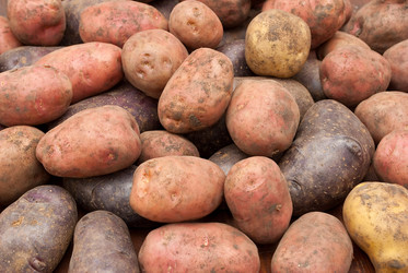 Similar image 309569