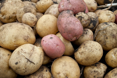 Similar image 309570