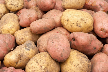 Similar image 309571