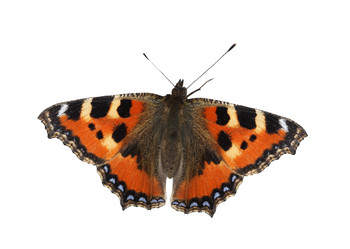 Similar image 309579