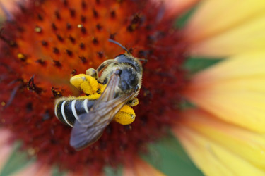 Similar image 309581