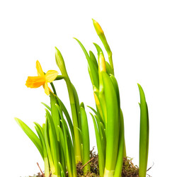 Similar image 309595