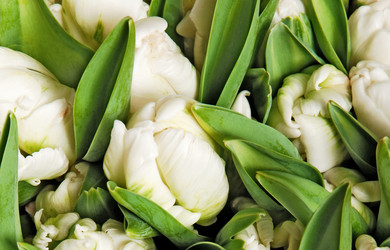 Similar image 309596