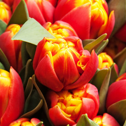 Similar image 309597