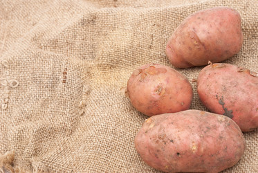 Similar image 309598