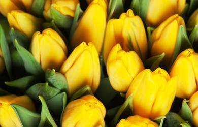 Similar image 309599