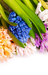 Similar image 309602