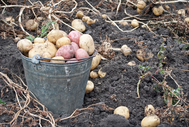 Similar image 309605