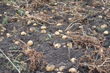 Similar image 309608