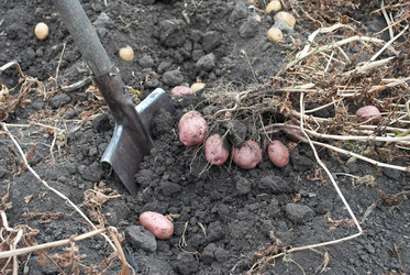 Similar image 309618