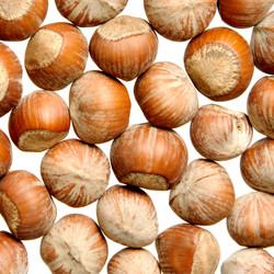 Similar image 309626