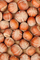 Similar image 309628