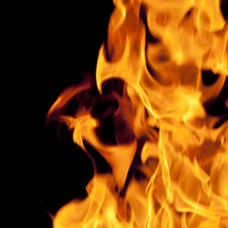 Similar image 309637