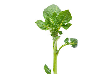 Similar image 309649