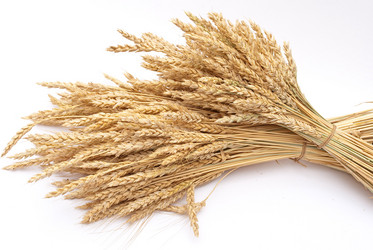 Similar image 309669