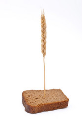 Similar image 309672