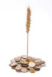 Similar image 309682