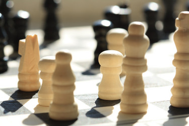 Similar image 309713