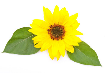 Similar image 309739