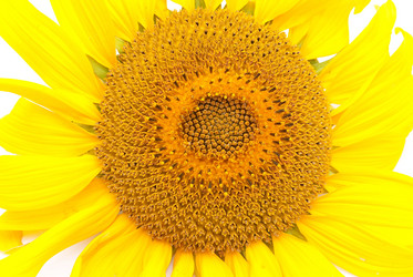 Similar image 309740