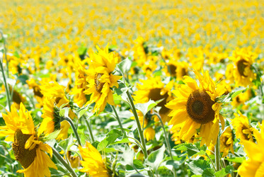 Similar image 309741