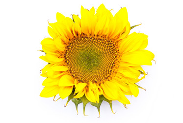 Similar image 309743