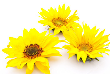 Similar image 309745