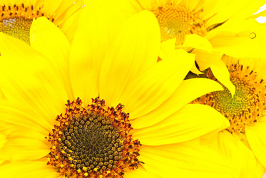 Similar image 309746