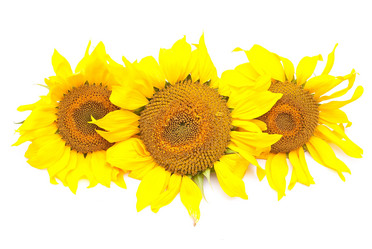 Similar image 309747