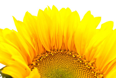 Similar image 309748