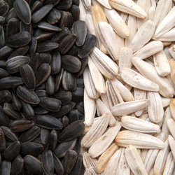 Similar image 309749