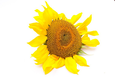 Similar image 309750