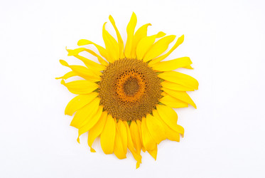 Similar image 309752