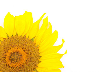 Similar image 309753