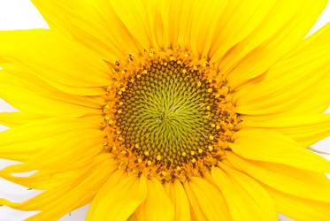 Similar image 309759