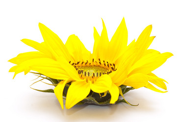 Similar image 309762