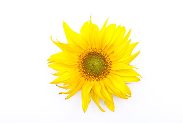 Similar image 309764