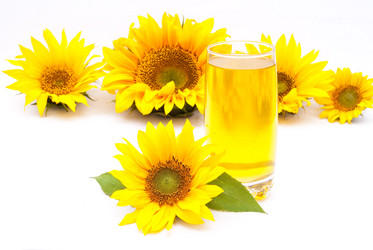 Similar image 309768