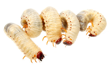 Similar image 309770