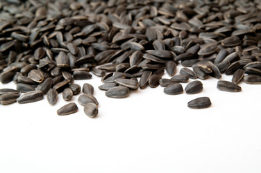 Similar image 309771