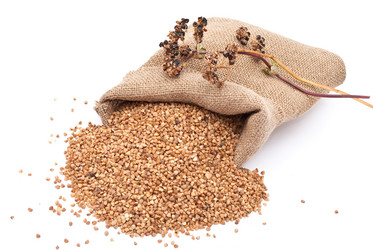 Similar image 309839