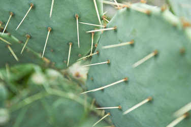 Similar image 309852