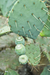 Similar image 309854